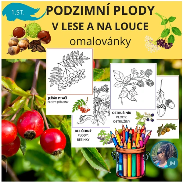OMALOVÁNKY - PODZIM V LESE A NA LOUCE