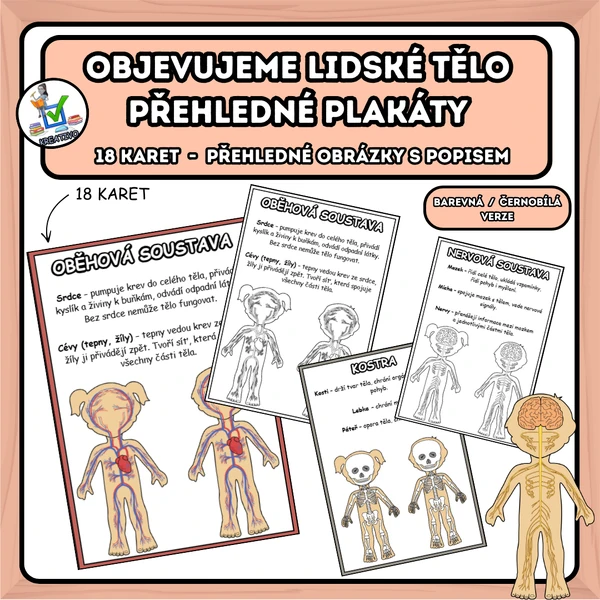Objevujeme lidské tělo – přehledné plakáty