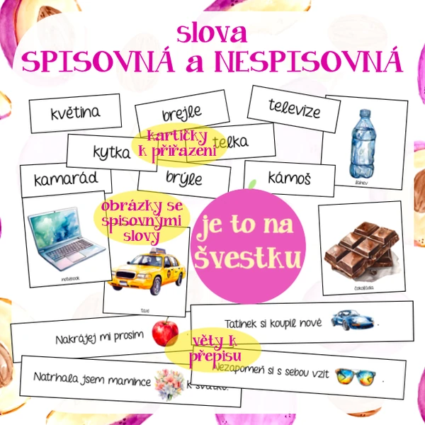 Slova spisovná a nespisovná