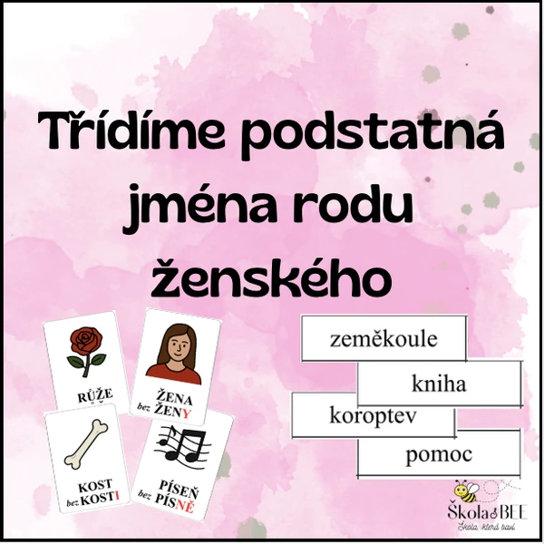 Třídíme podstatná jména rodu ženského
