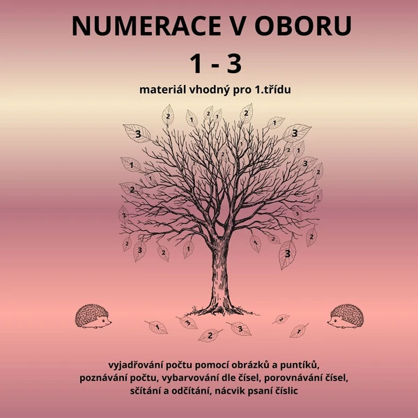 Numerace v oboru 1 - 3