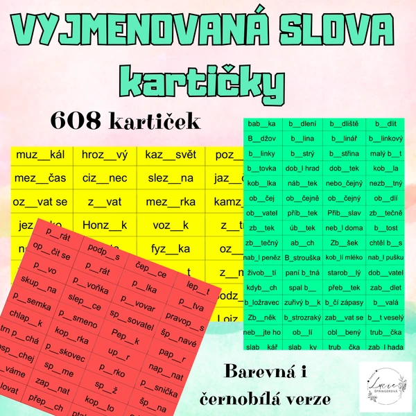 KARTIČKY - vyjmenovaná slova