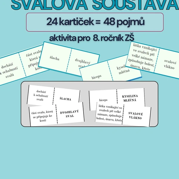 Domino Svalová soustava - barevná i černobílá verze
