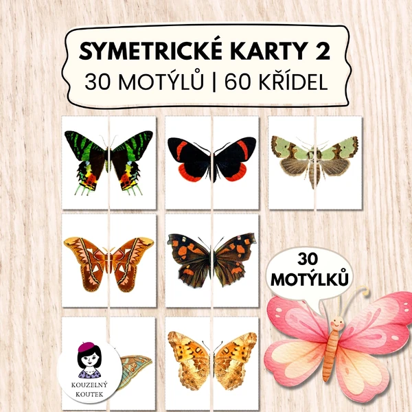 Skládačka s motýly 2, Puzzle s motýly, symetrické karty