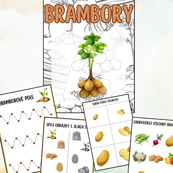 Brambory