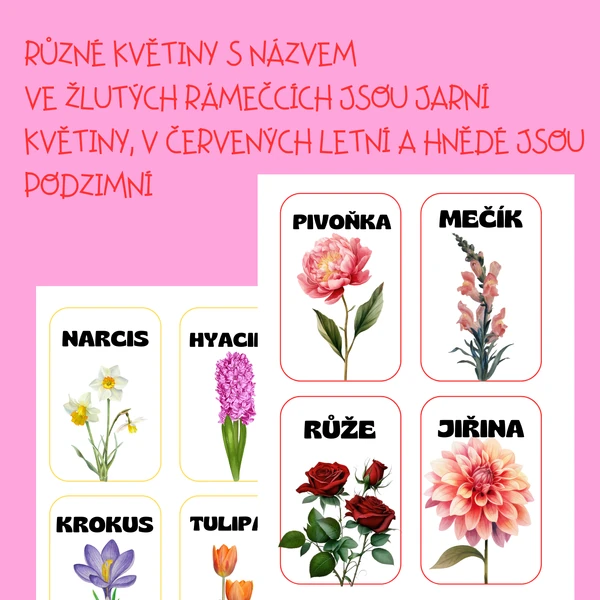 Květiny