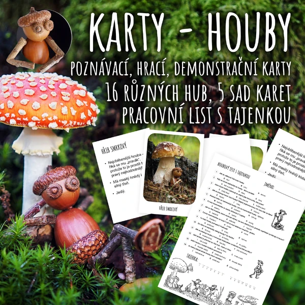 Houby - hrací, poznávací a demonstrační karty + pracovní list s tajenkou