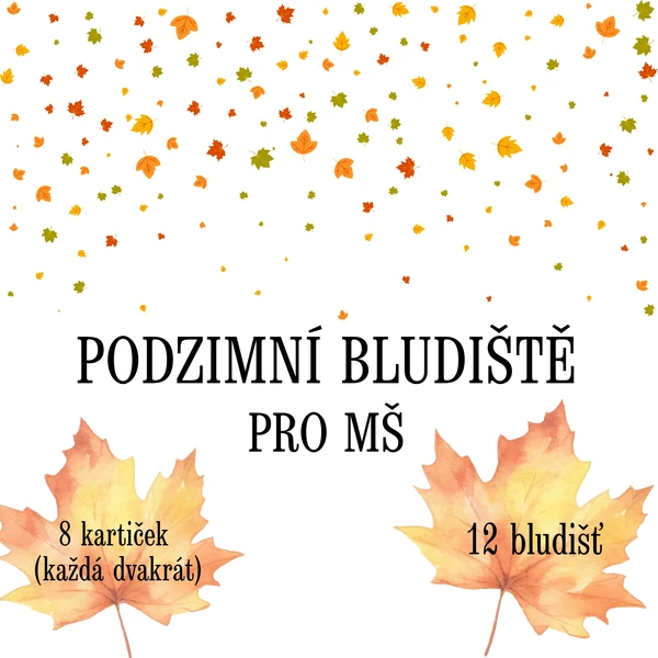PODZIMNÍ BLUDIŠTĚ