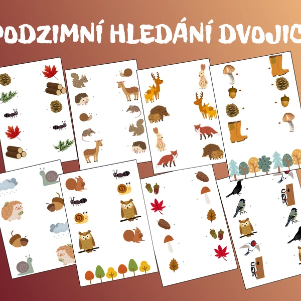 PODZIM - hledání dvojic