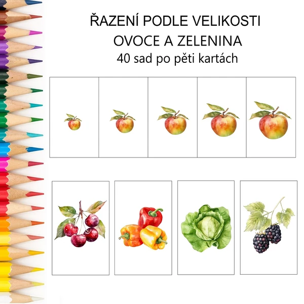 Řazení podle velikosti OVOCE A ZELENINA - 38 druhů, 200 karet