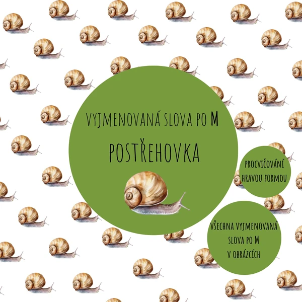 Vyjmenovaná slova po M - postřehovka