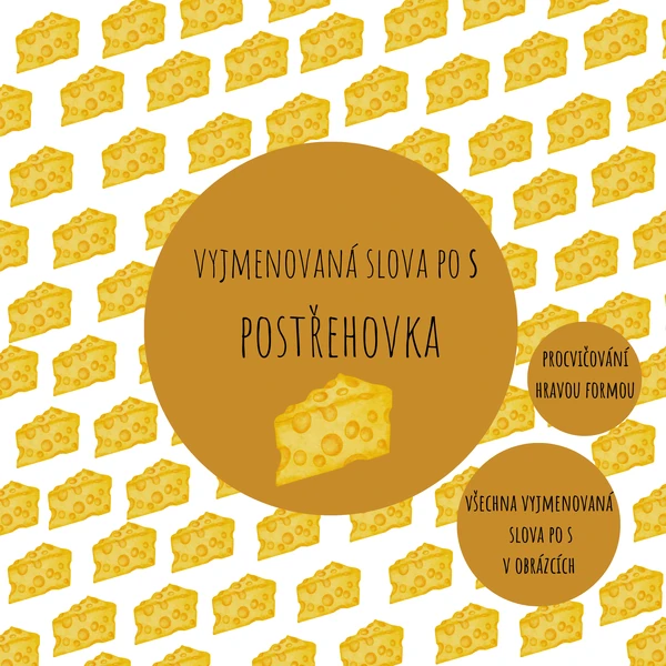 Vyjmenovaná slova po S - postřehovka