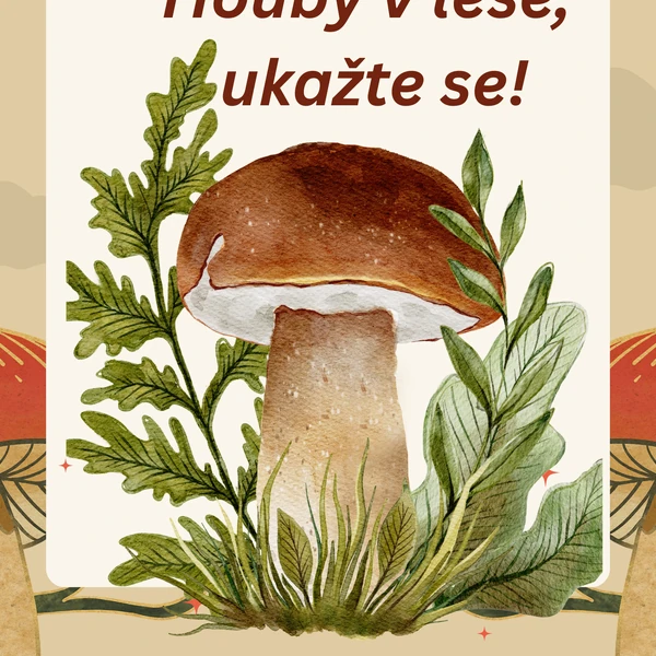 Houby v lese, ukažte se!