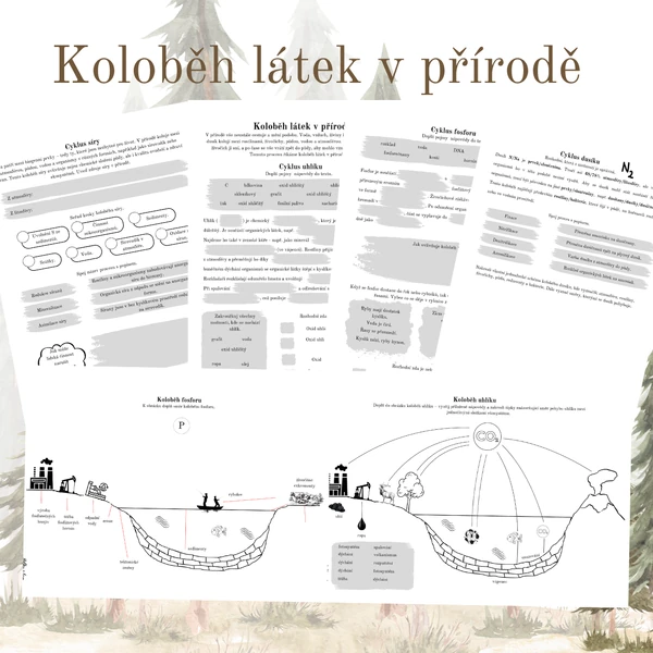Koloběh látek v přírodě