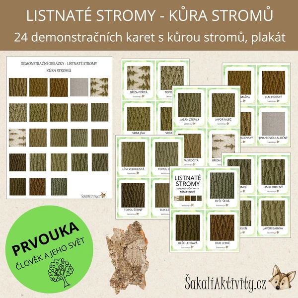  Listnaté stromy - kůra stromů - demonstrační karty 