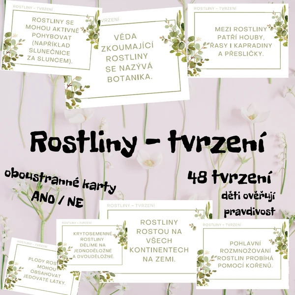 ROSTLINY - tvrzení ANO/NE (48 oboustranných karet)