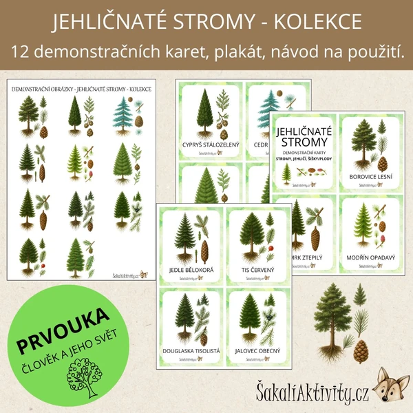  Jehličnaté stromy - strom, jehličí, šiška/plod - demonstrační karty 