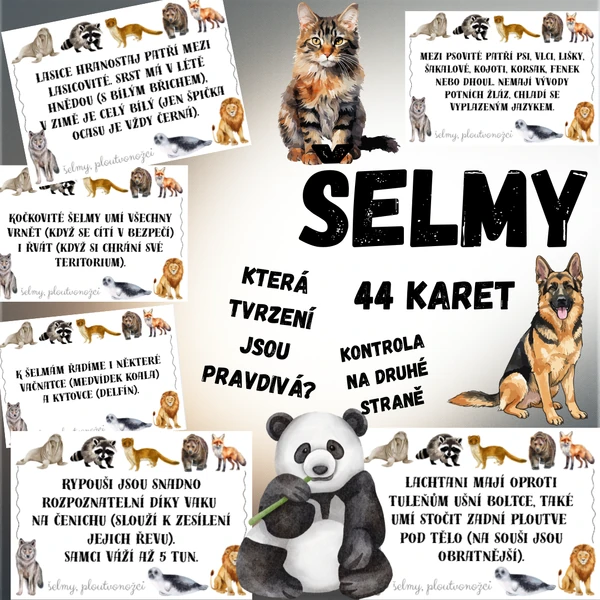 ŠELMY, PLOUTVONOŽCI - tvrzení (ANO/NE) - 44 oboustranných karet
