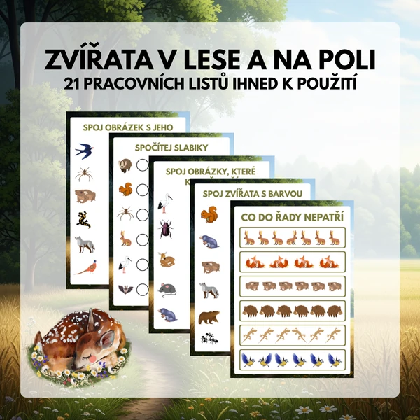 Zvířata v lese a na poli – pracovní listy ihned k použití