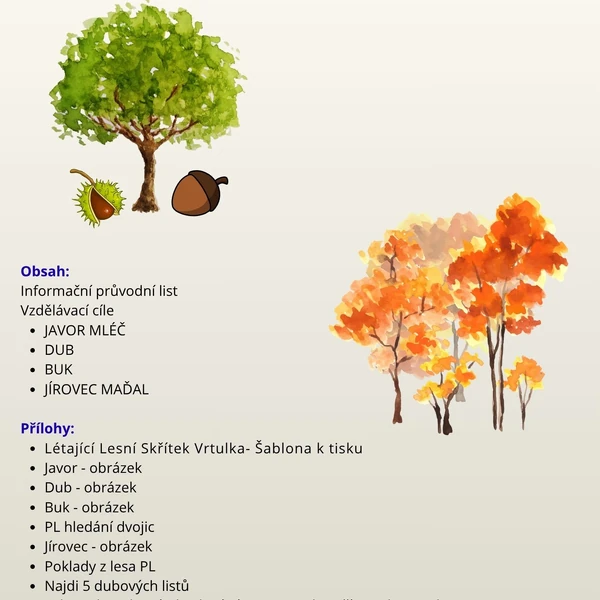 Poznáváme stromy v MŠ