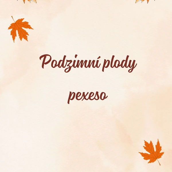 Podzimní plody - pexeso