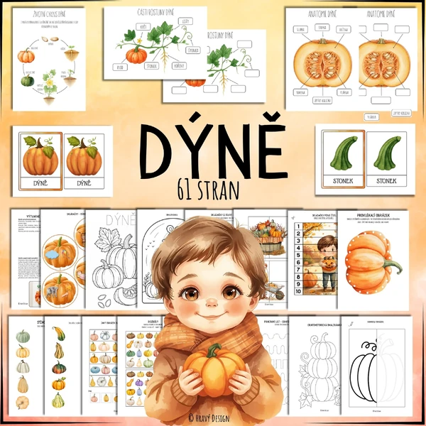 Dýně, dýňobraní
