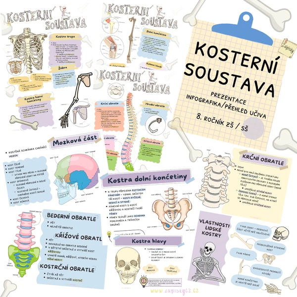 Kosterní soustava