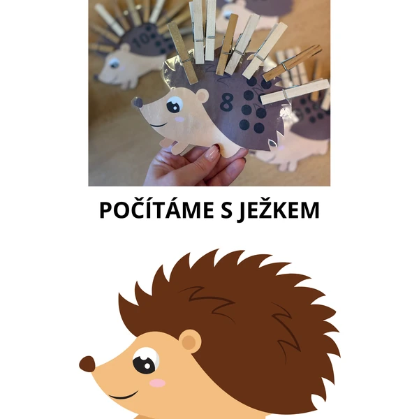 Počítáme s ježkem