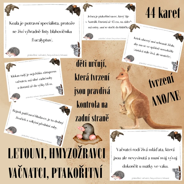 LETOUNI, HMYZOŽRAVCI, VAČNATCI, PTAKOŘITNÍ - tvrzení ANO/NE (44 karet)