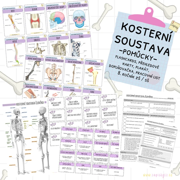 Kosterní soustava - pomůcky