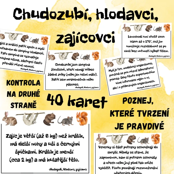 CHUDOZUBÍ, HLODAVCI, ZAJÍCOVCI - 40 tvrzení (karty ANO/NE)
