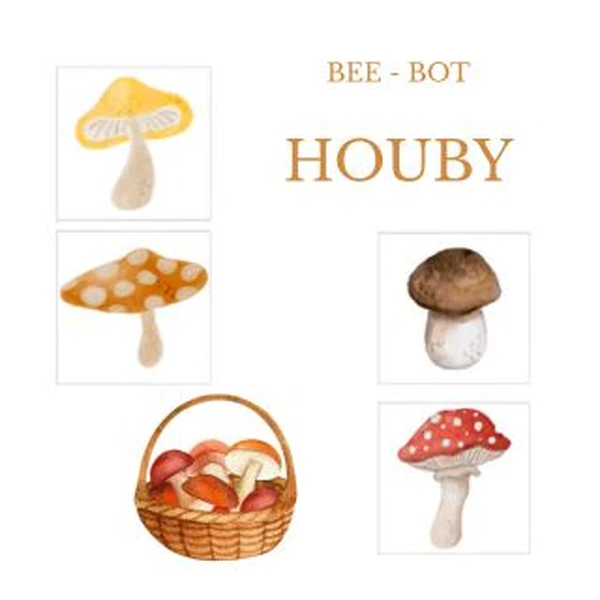 Bee bot - houby