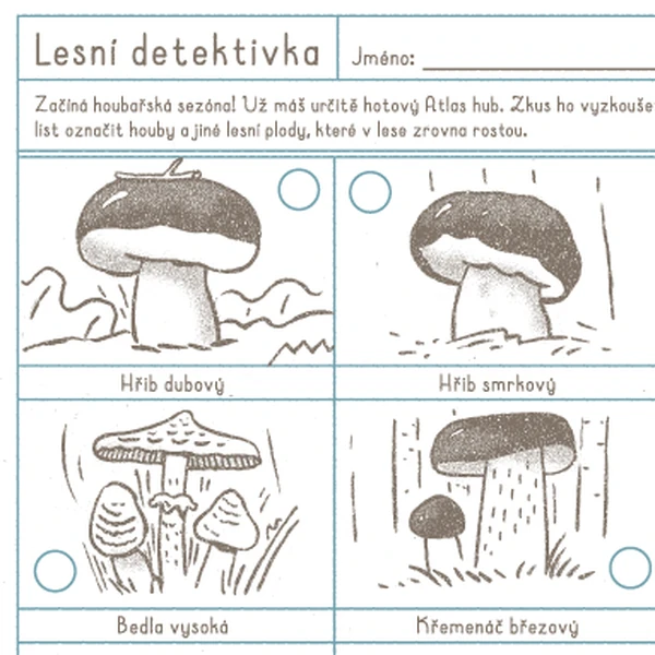 HOUBY - LESNÍ DETEKTIVKA