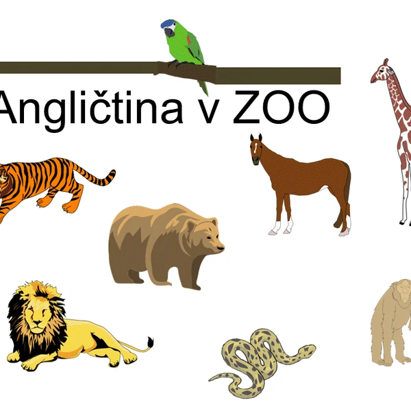Angličtina pro žáka 1. stupně na ZŠ