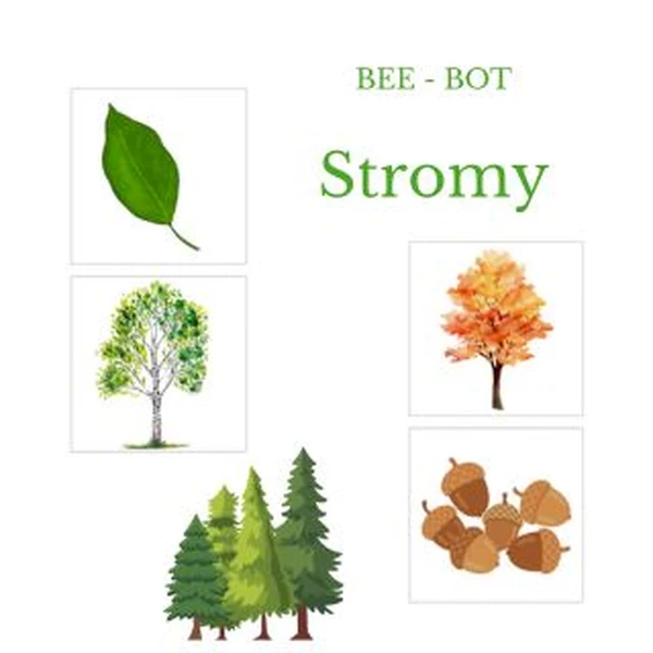 Stromy - bee bot