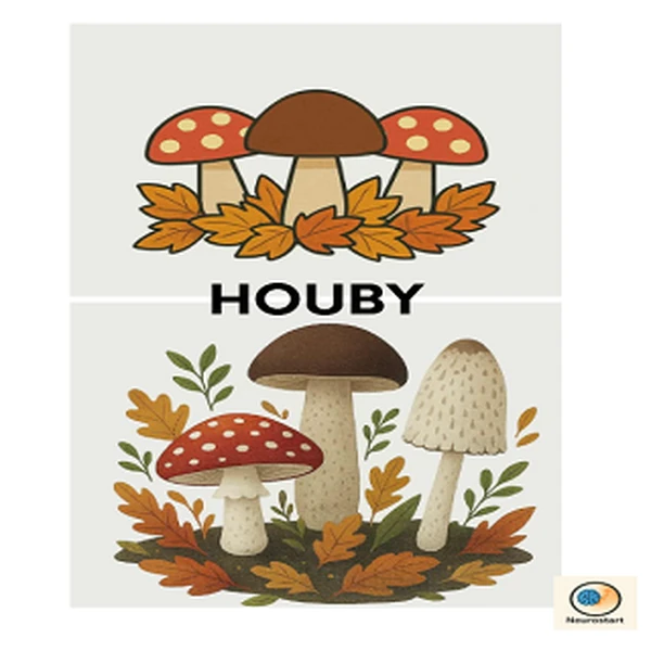 HOUBY 
