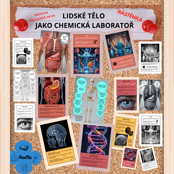 CHEMIE: Nástěnka - Chemie lidského těla
