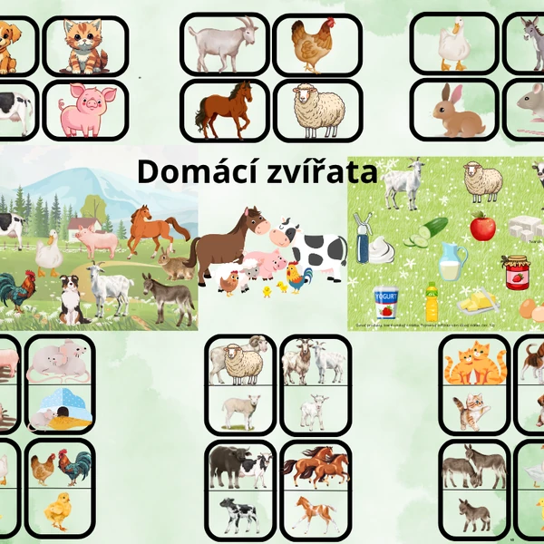 Domácí zvířata