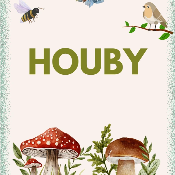Houby 🍄
