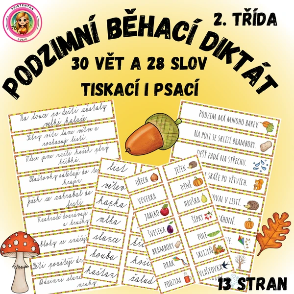 Podzimní běhací diktát pro 2. třídu - 30 vět a 28 slov