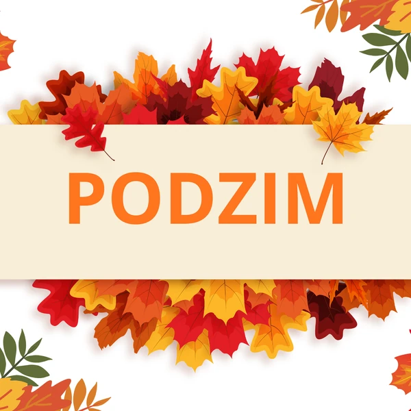Podzim - aktivity