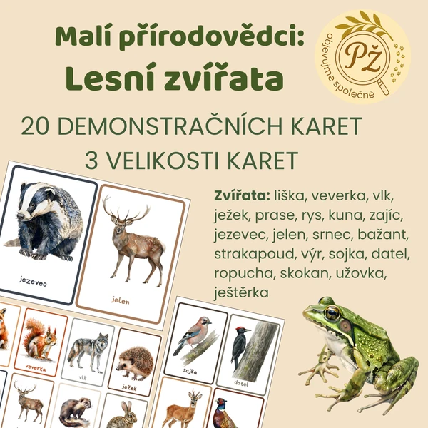 Malí přírodovědci: Demonstrační karty lesní zvířata