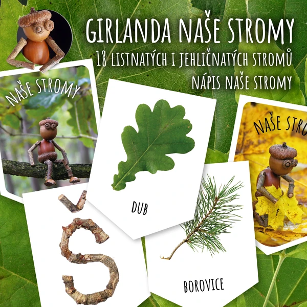 Naše stromy a jejich listy - girlanda