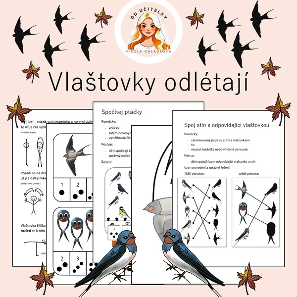 Vlaštovky odlétají 