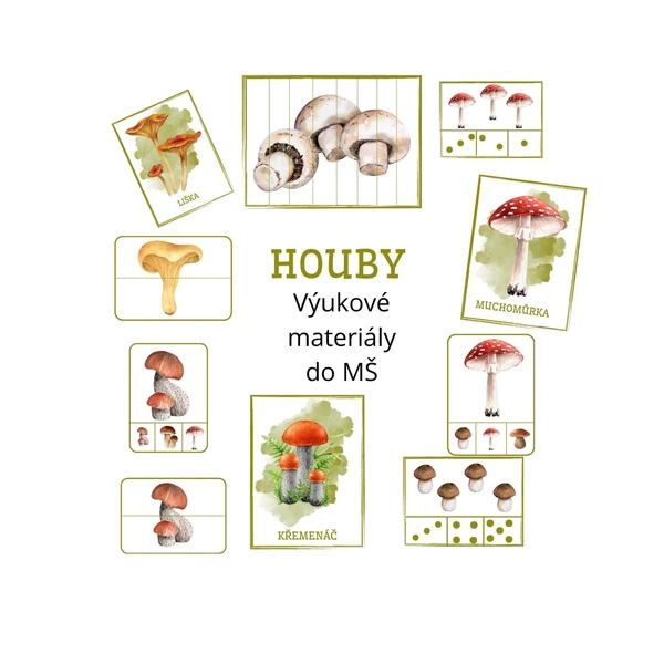 Houby 🍄‍🟫🍄