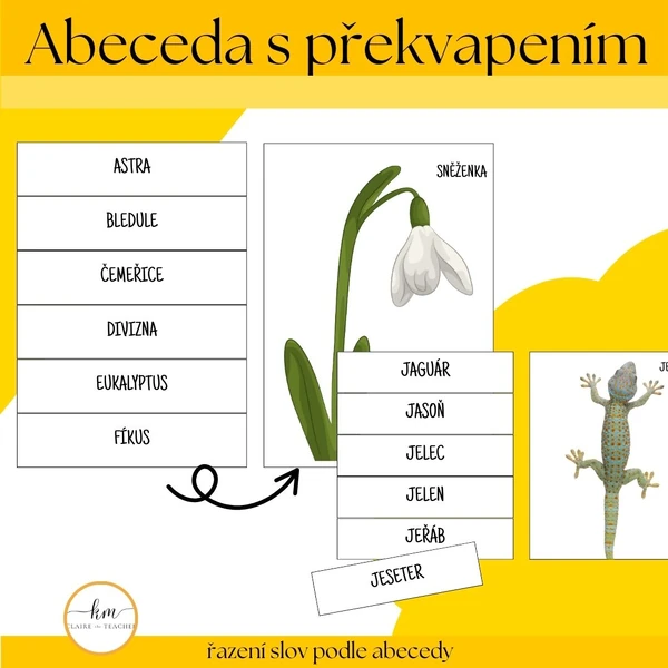 Abeceda s překvapením