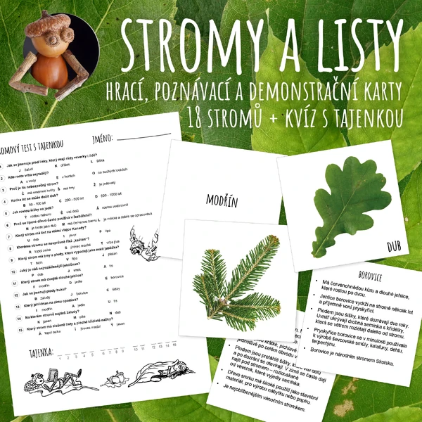 Stromy a listy - hrací, poznávací a demonstrační karty + kvíz s tajenkou