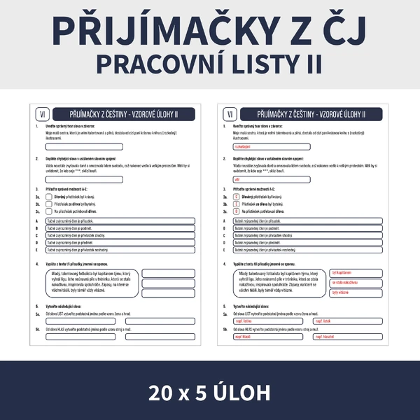 PŘIJÍMAČKY Z ČEŠTINY II (pracovní listy, přijímací zkoušky)