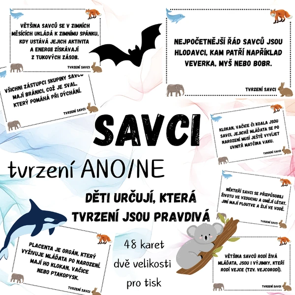 Tvrzení - savci (48 karet)