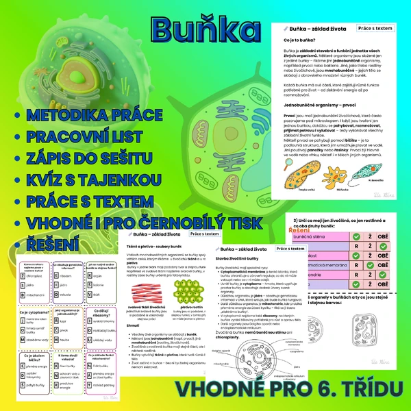 Buňka